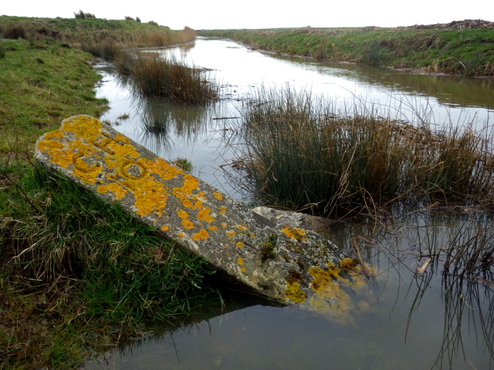 BB12 and CH10 Boundary Stones, Hooe Level