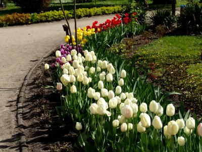 Bdg Arboretum UKW4 4-2015