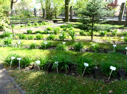 Bdg Arboretum UKW15 4-2015