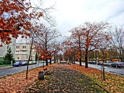 Bdg alOssolinskich a 2 10-2013