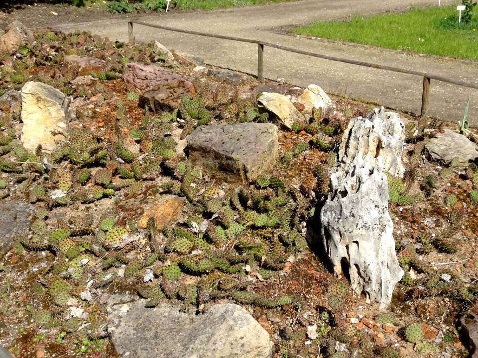 Bdg Arboretum UKW12 4-2015