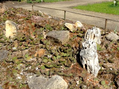 Bdg Arboretum UKW12 4-2015