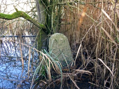 BB45 Boundary Stone, Combe Valley