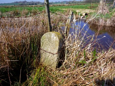 BB24 Boundary Stone, Barnhorn (2)
