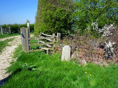 BB20 Boundary Stone, Barnhorn (2)