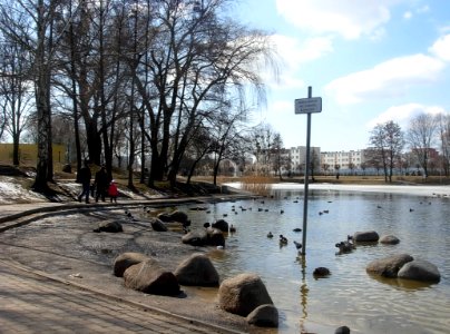 Bdg Balaton 04-2013c