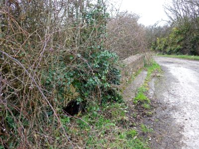 BB19 Boundary Stone, Hooe Level (2)