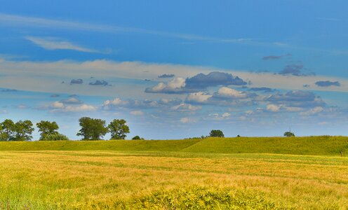 Sky cornfield summer photo