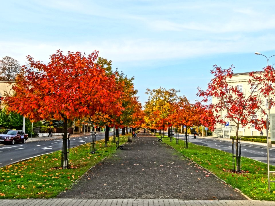 Bdg alOssolinskich 1 09-2013