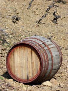 Vineyard viticulture wine