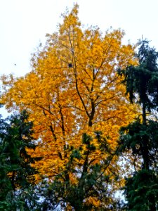 Bdg arboretumUKW 43 10-2013