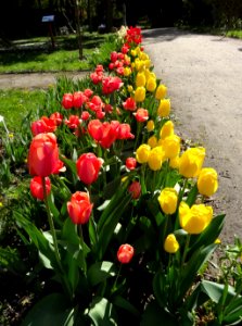 Bdg Arboretum UKW26 4-2015