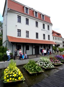 Bdg Festival Wodny 2015 - Miedzywodzie 1