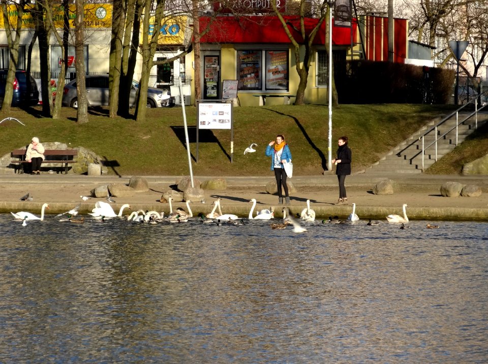 Bdg Balaton 3 03-2014