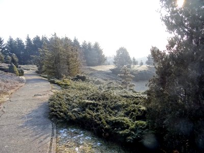 Bdg botanic garden 3 2018 4