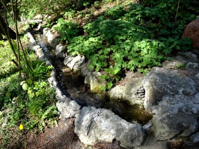 Bdg Arboretum UKW21 4-2015