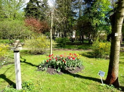 Bdg Arboretum UKW17 4-2015