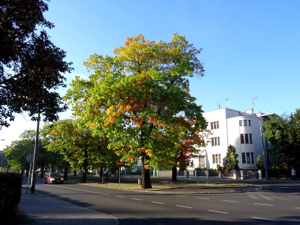 Bdg alOssolinskich 10-2015