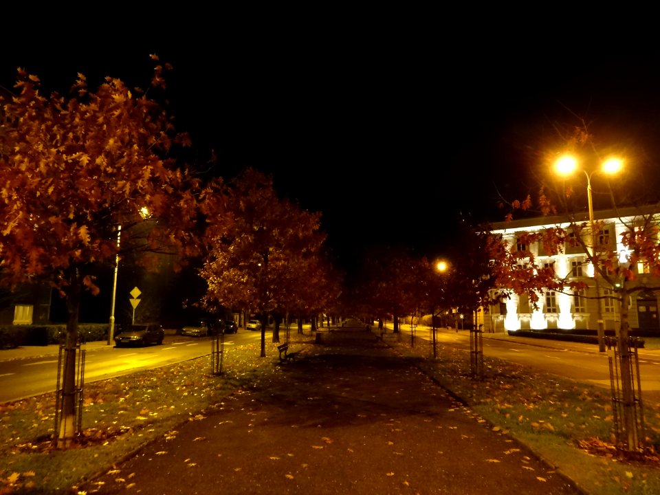 Bdg alOssolinskich noc 10-2013