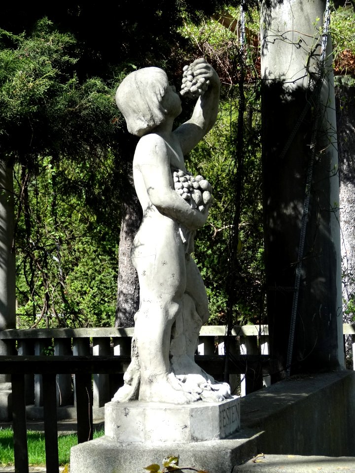 Bdg Arboretum UKW 4poryroku7 4-2015