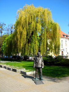 Bdg ASzwalbe 05-2013