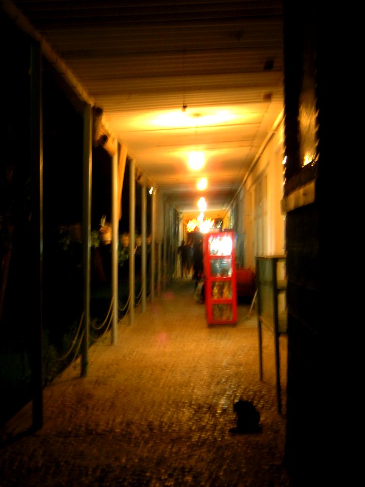 Bazaar of Omar Khayyam - Night 2