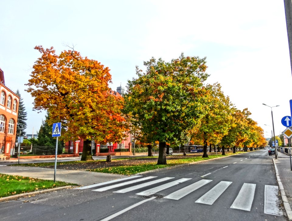 Bdg alOssolinskich 6 09-2013