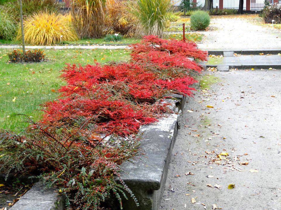 Bdg arboretumUKW 32 10-2013