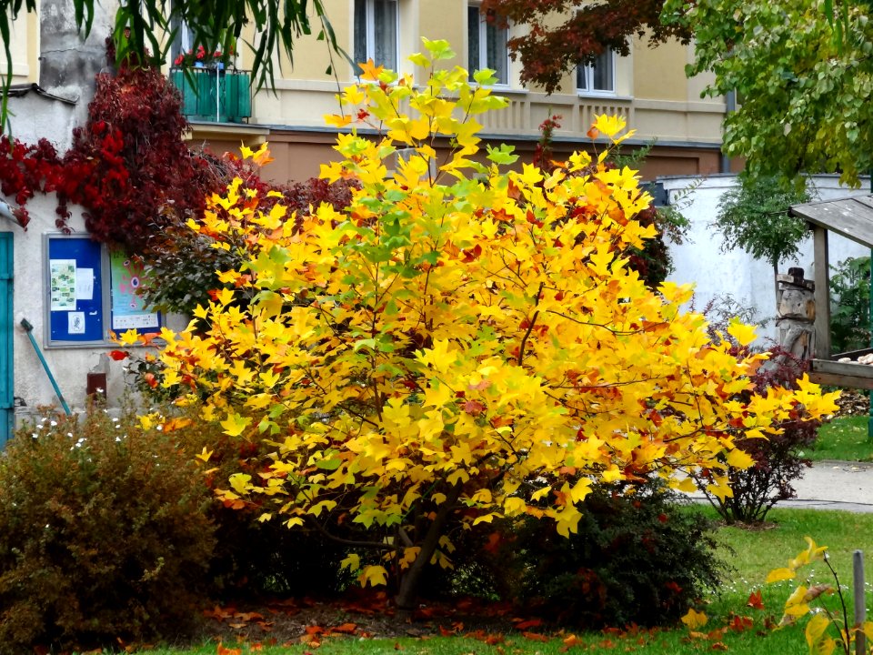 Bdg arboretumUKW 62 10-2013