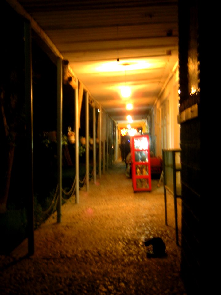 Bazaar of Omar Khayyam - Night 3
