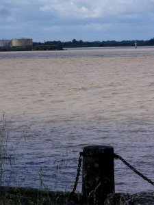 Bayon-sur-Gironde (Gironde) vue sur Bec-d'Ambès 01