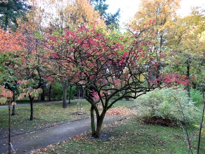 Bdg arboretumUKW 18 10-2013