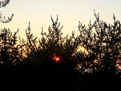 Bdg Brdyujscie sunset2 01-2015