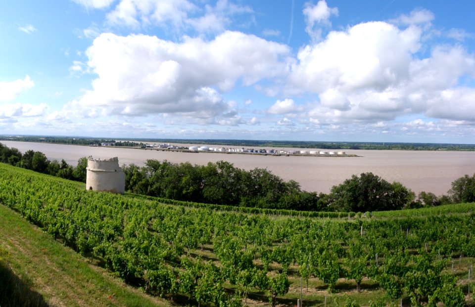 Bayon-sur-Gironde (Gironde) vue sur Bec-d'Ambès panorama par mouvement