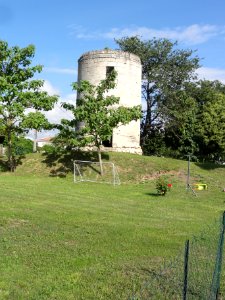 Bayon-sur-Gironde (Gironde) tour (moulin à vent..)