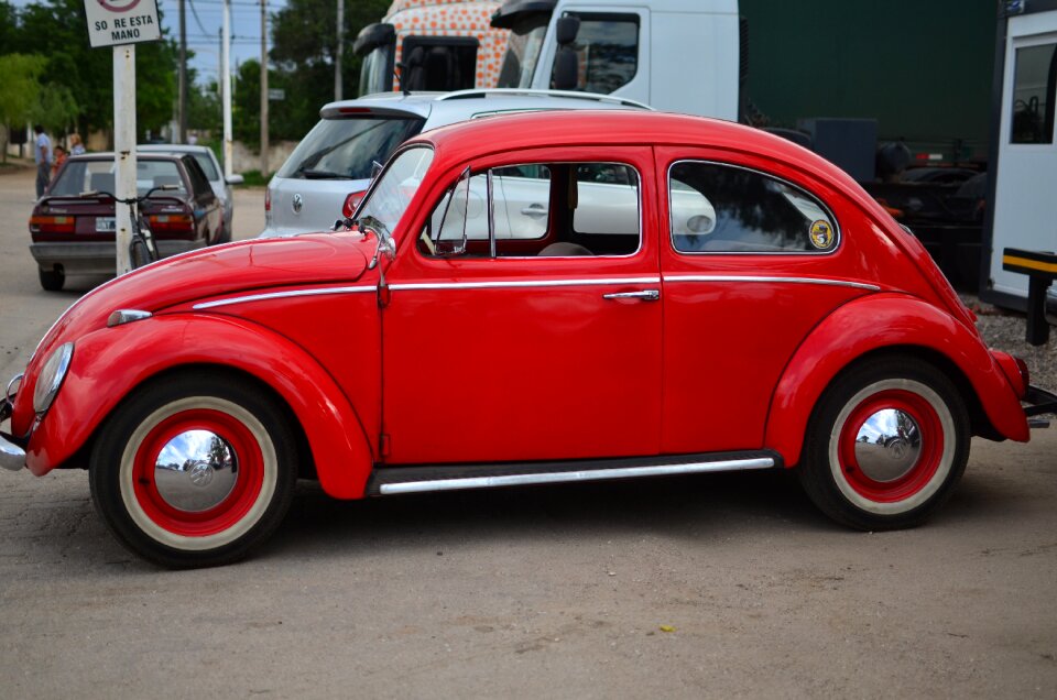 The beetle the beetle