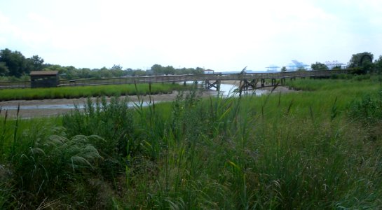 Bayonne wetland park bridge jeh