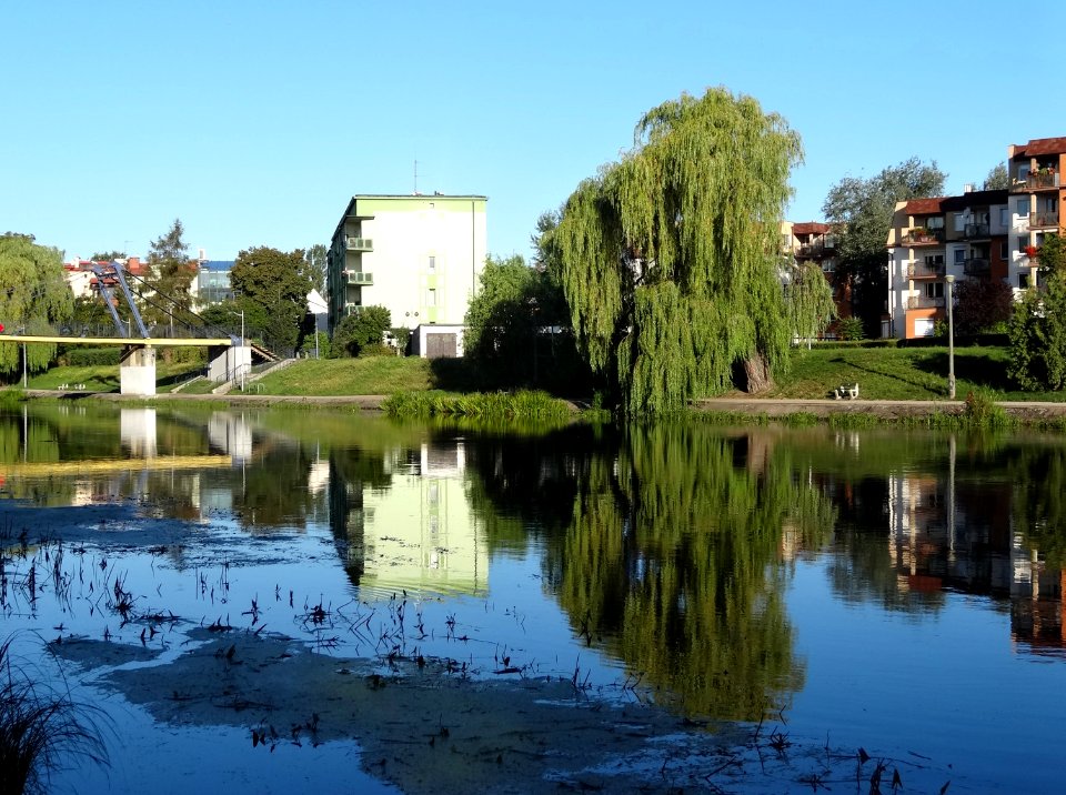 Bdg Brda parkC 7 09-2014