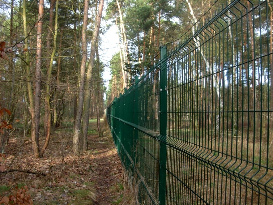 Bdg Czyżkówko las 04-2013a