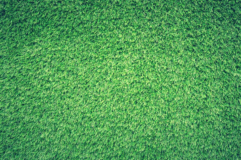 Lawn texture background
