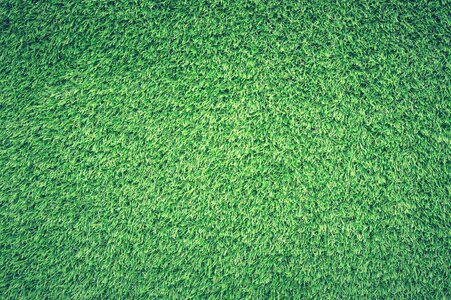 Lawn texture background photo