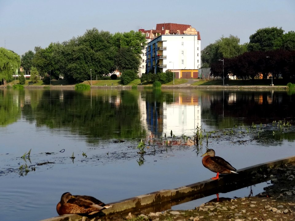 Bdg BrdakLuczniczki10 07-2013