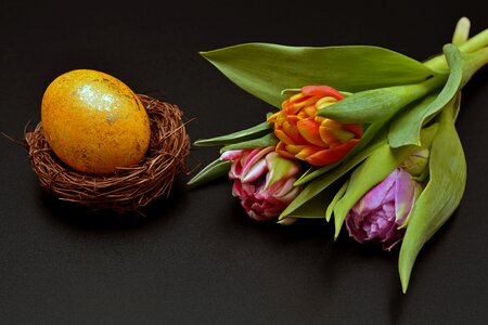 Easter nest egg decoration photo