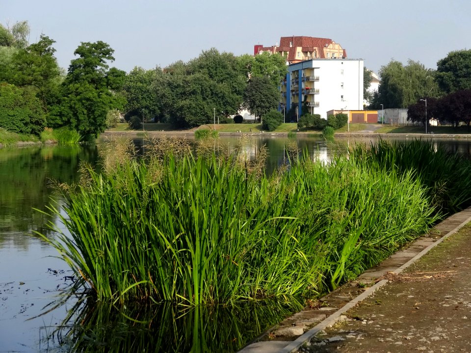 Bdg BrdakLuczniczki7 07-2013