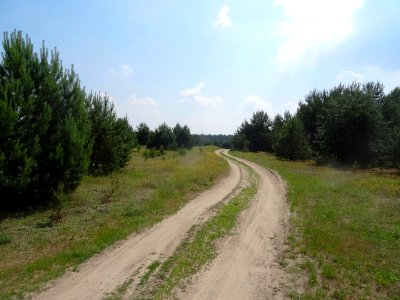 Bdg Fordon grntaras3
