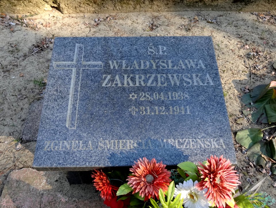 Bdg cmentarzSmukala9 3-2015