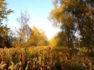 Bdg Fordon Vistula 10-18 z1