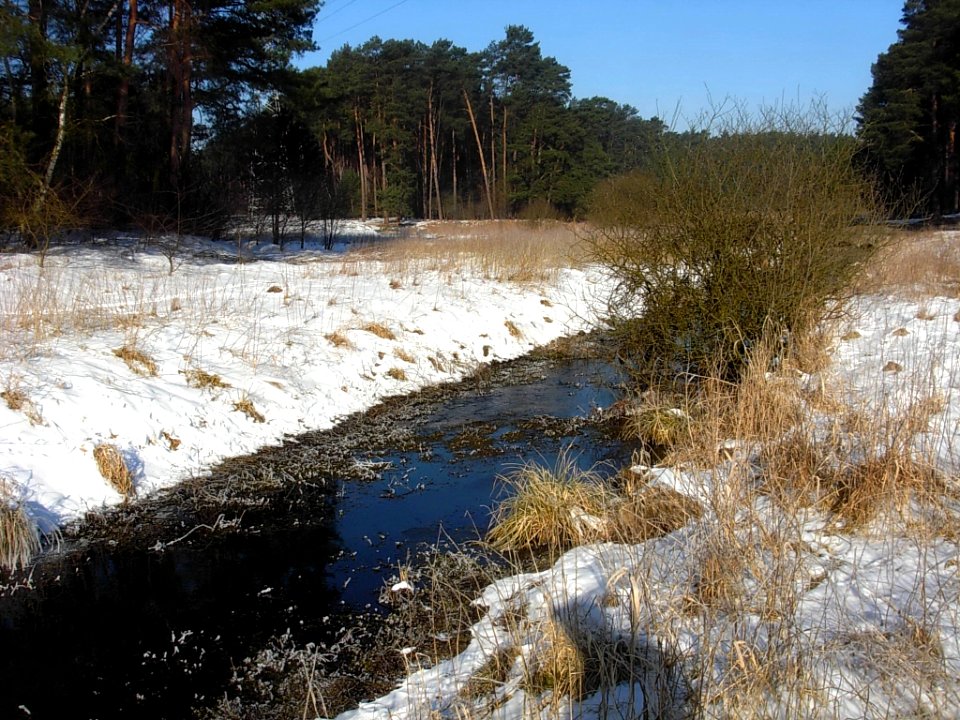 Bdg Dolina Podprądy 03-2013c