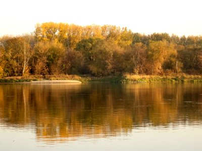 Bdg Fordon Vistula 10-18 e7