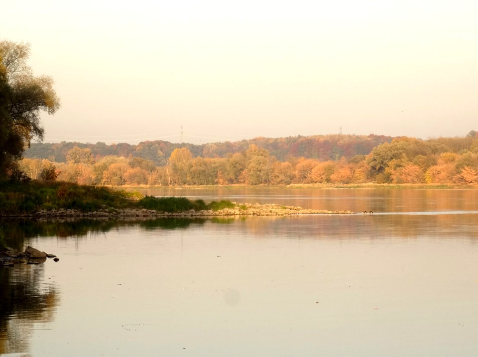Bdg Fordon Vistula 10-18 e2